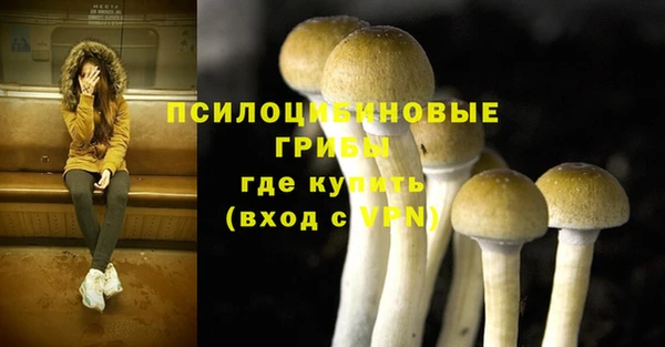 гидропоника Белоозёрский