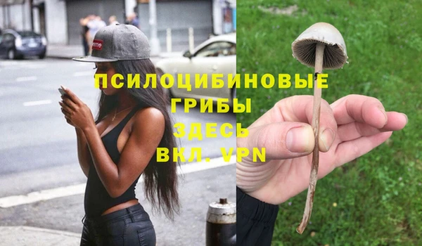 ALPHA-PVP Белокуриха