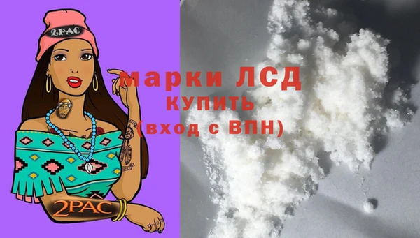 стаф Беломорск