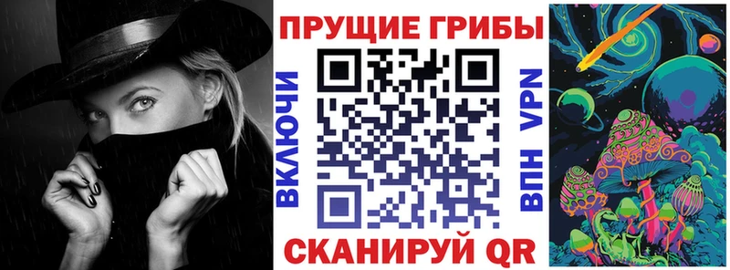 ОМГ ОМГ ССЫЛКА  Кола  Псилоцибиновые грибы Magic Shrooms  сколько стоит 